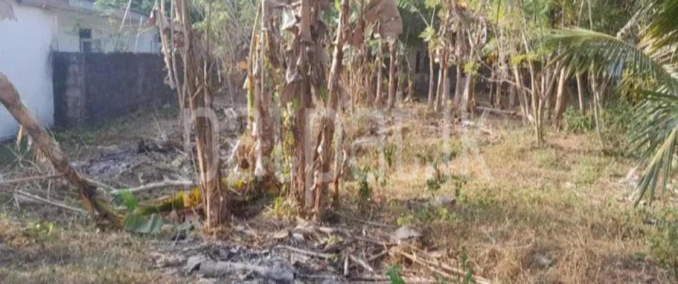 premium-listing-image