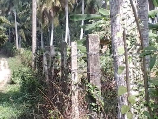  Land for Sale in Kurunegala
