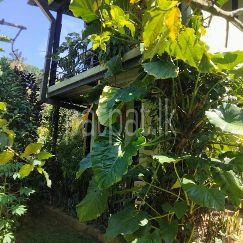 House for Sale in Asgiriya