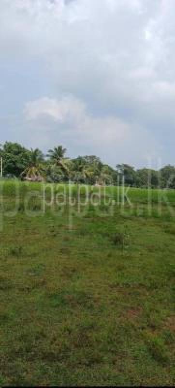 Agricultural Land for Sale in Sella Kataragama