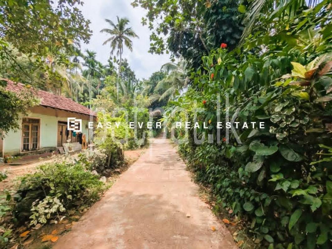 Residential Land for Sale in Mirigama