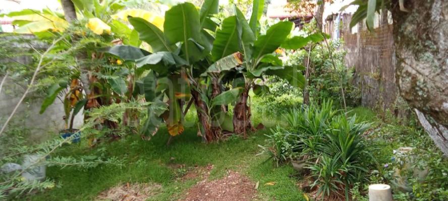 Commercial Land for Sale in Dehiwala