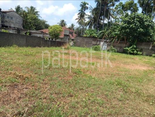 premium-listing-image