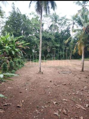Residential Land for Sale in Polgasowita