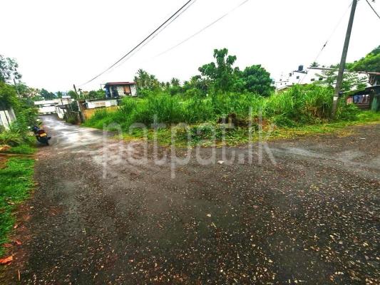 premium-listing-image