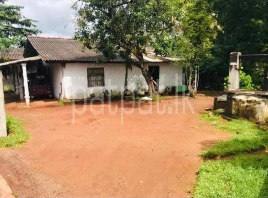 premium-listing-image