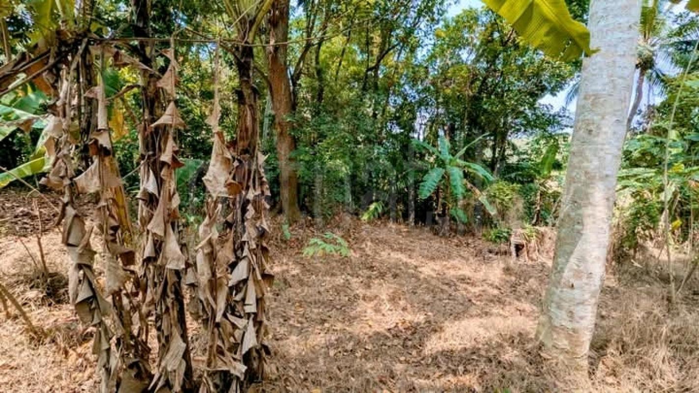 Commercial Land for Sale in Nittambuwa