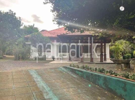 premium-listing-image