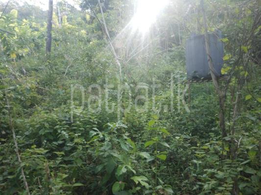 premium-listing-image