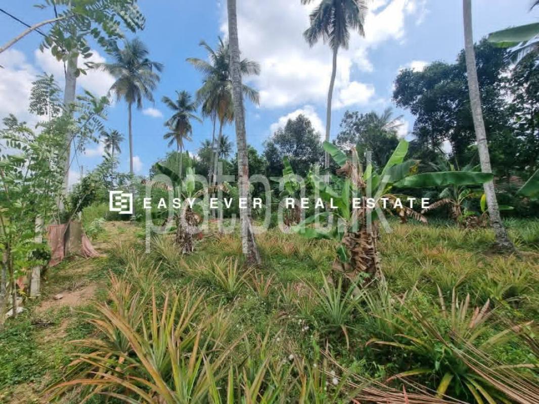 Residential Land for Sale in Mirigama