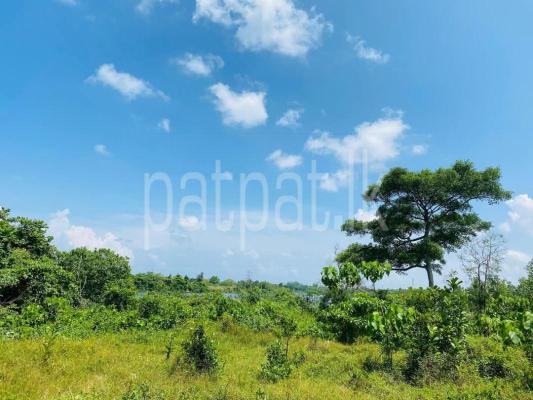 premium-listing-image