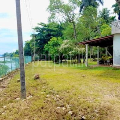 premium-listing-image