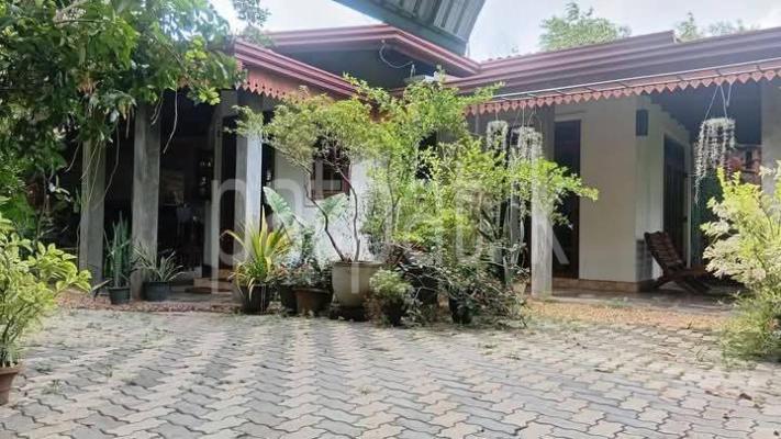 premium-listing-image