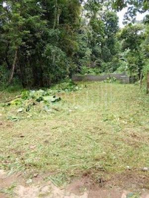 premium-listing-image