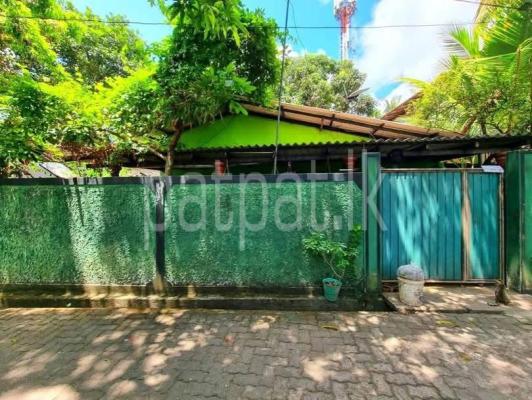 premium-listing-image