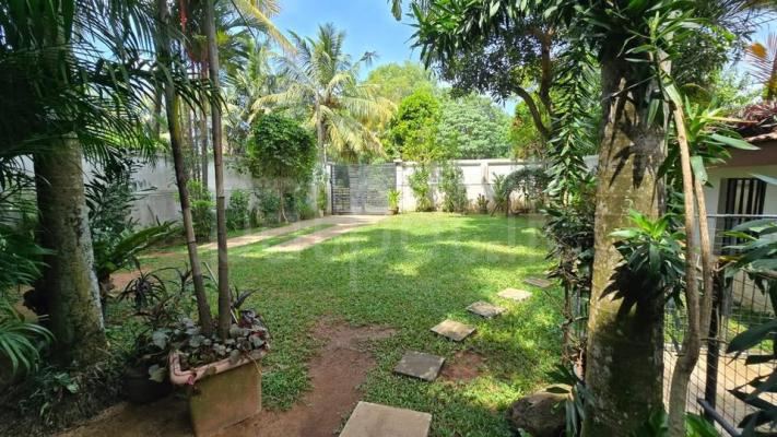 Residential Land for Sale in Nawala