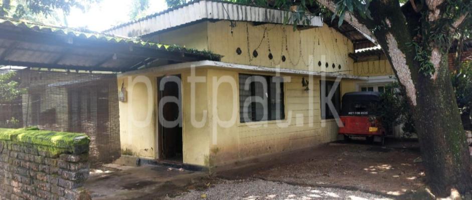 premium-listing-image