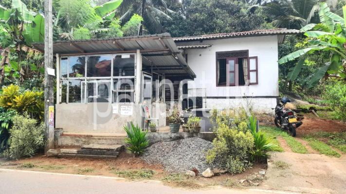 premium-listing-image