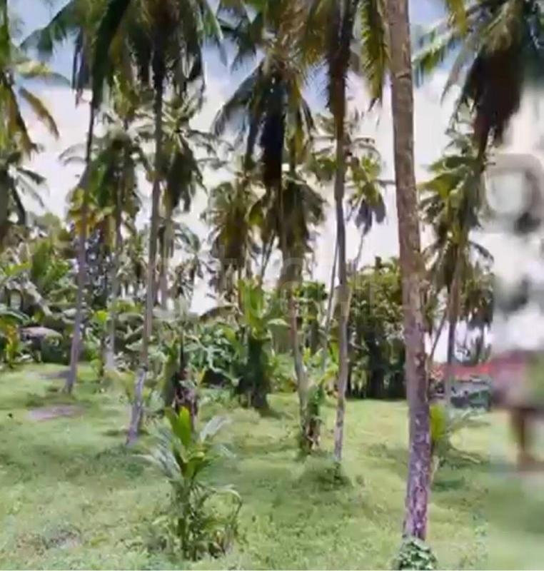 Agricultural Land for Sale in Delgoda