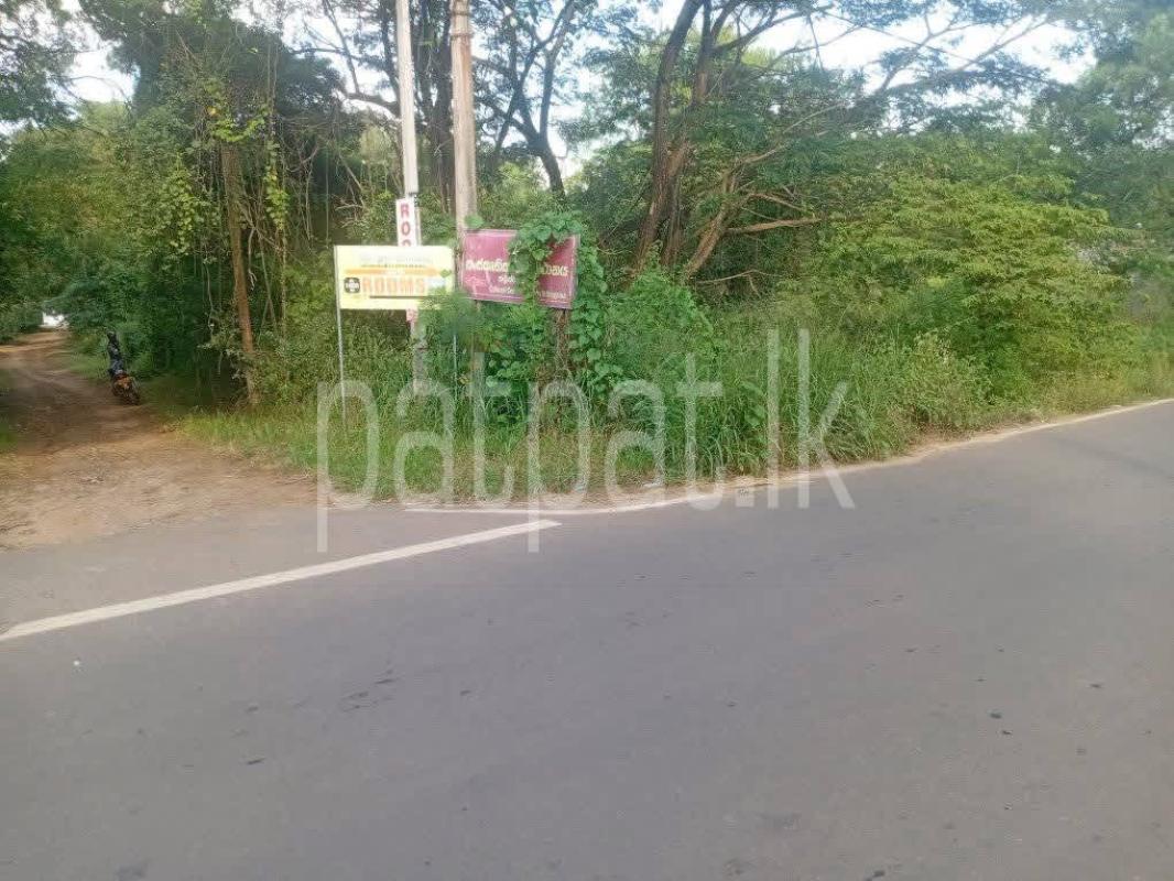Residential Land for Sale in Tambuttegama