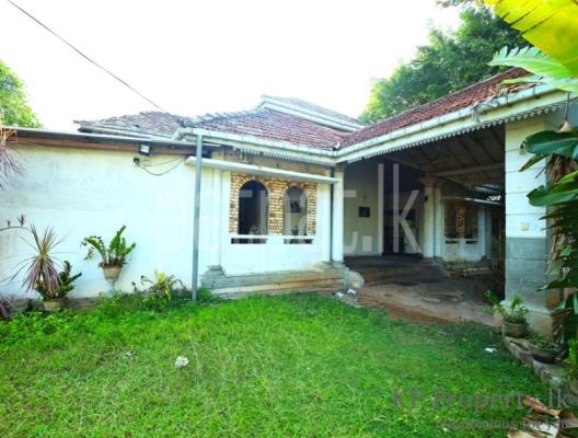 premium-listing-image