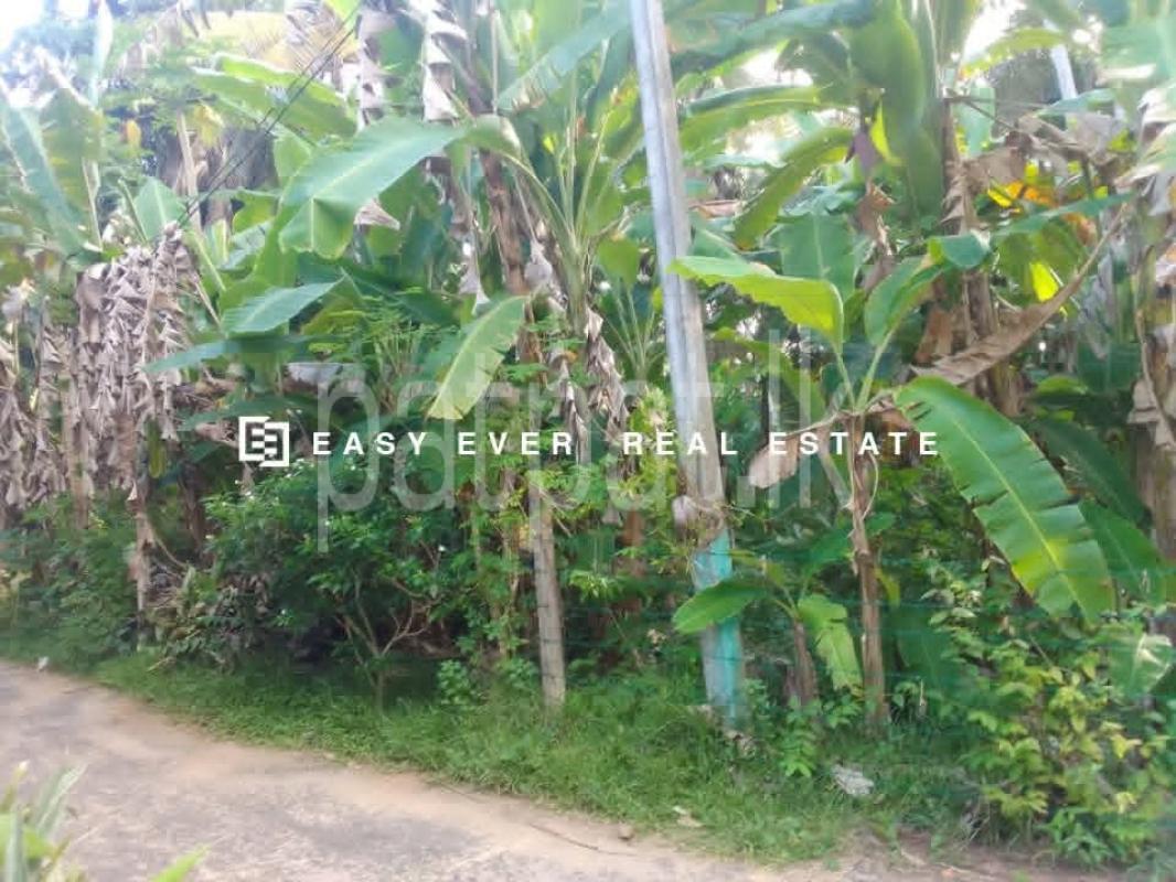 Residential Land for Sale in Hikkaduwa