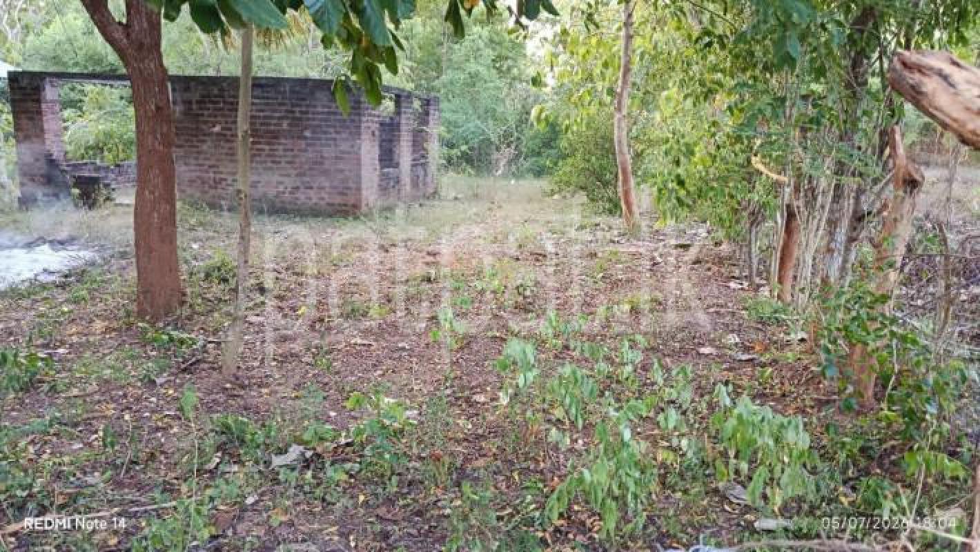 Agricultural Land for Sale in Ambalantota