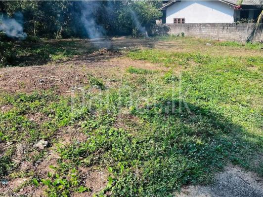  Land for Sale in Niwandama