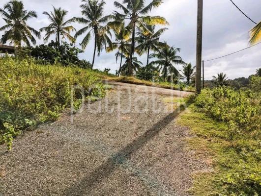 premium-listing-image