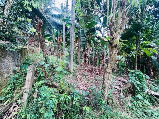 Residential Land for Sale in Kegalle