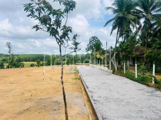 premium-listing-image