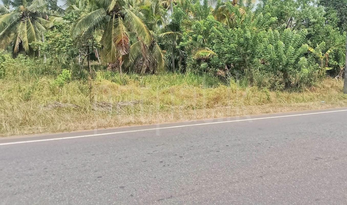 Agricultural Land for Sale in Middeniya