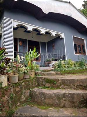 premium-listing-image