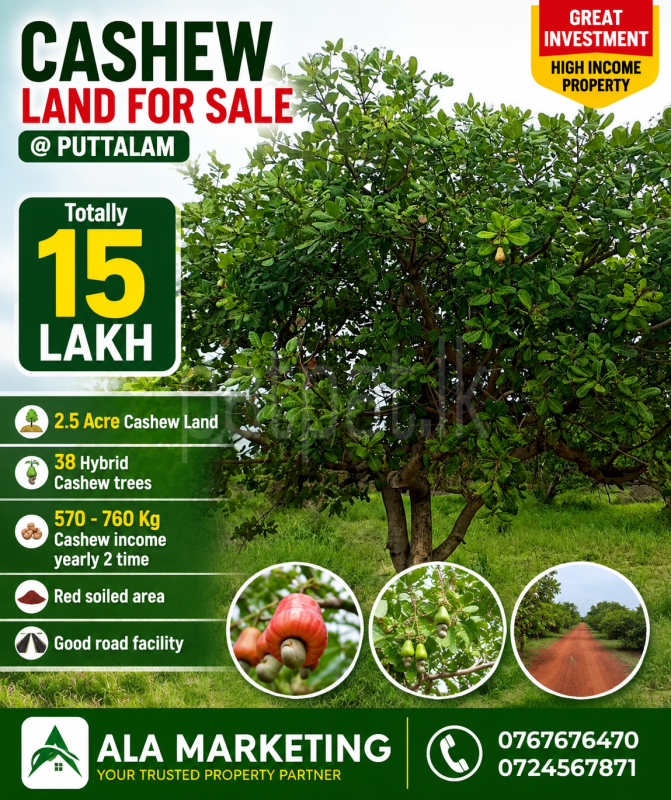 Agricultural Land for Sale in Puttalam
