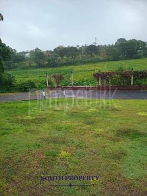 Agricultural Land for Sale in Malabe