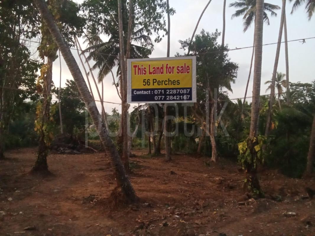 Residential Land for Sale in Dikwella