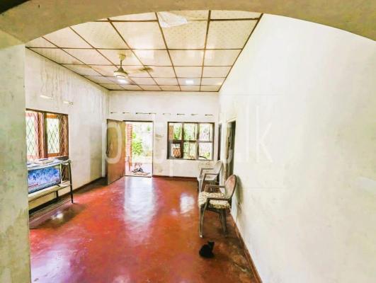 premium-listing-image