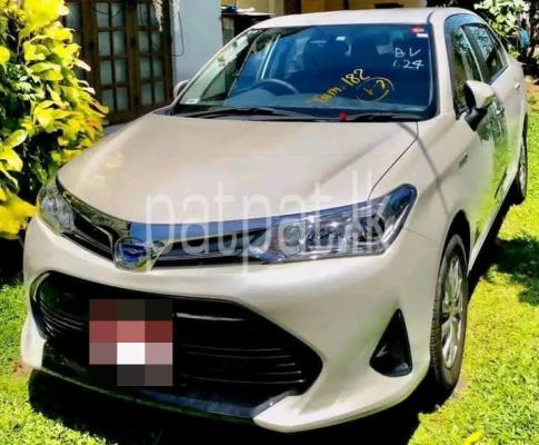 premium-listing-image