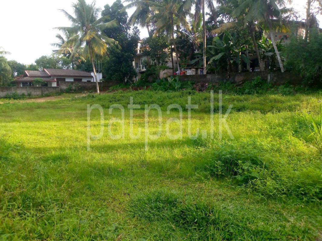 Commercial Land for Sale in Horana