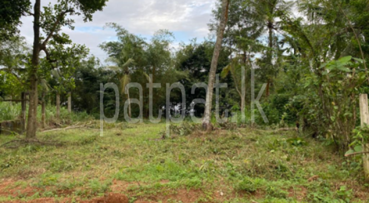 premium-listing-image