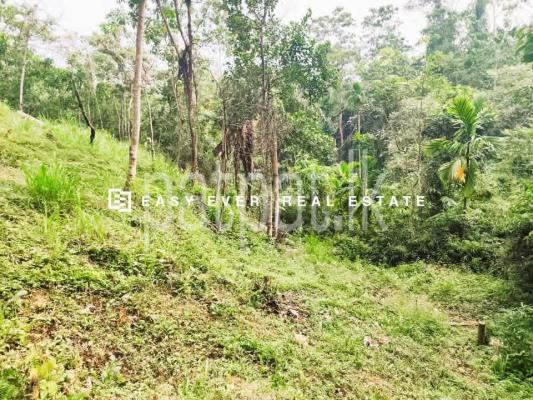 Residential Land for Sale in Veyangoda