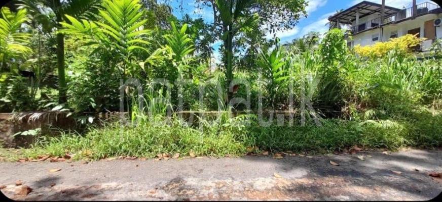 premium-listing-image