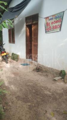 premium-listing-image