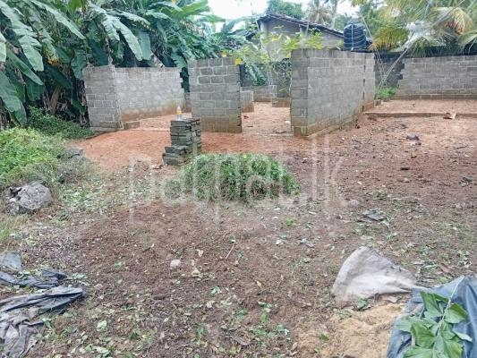 premium-listing-image