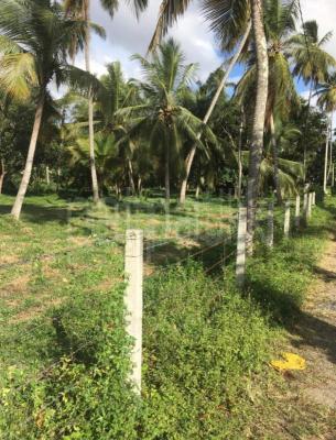 Residential Land for Sale in Dalupotha