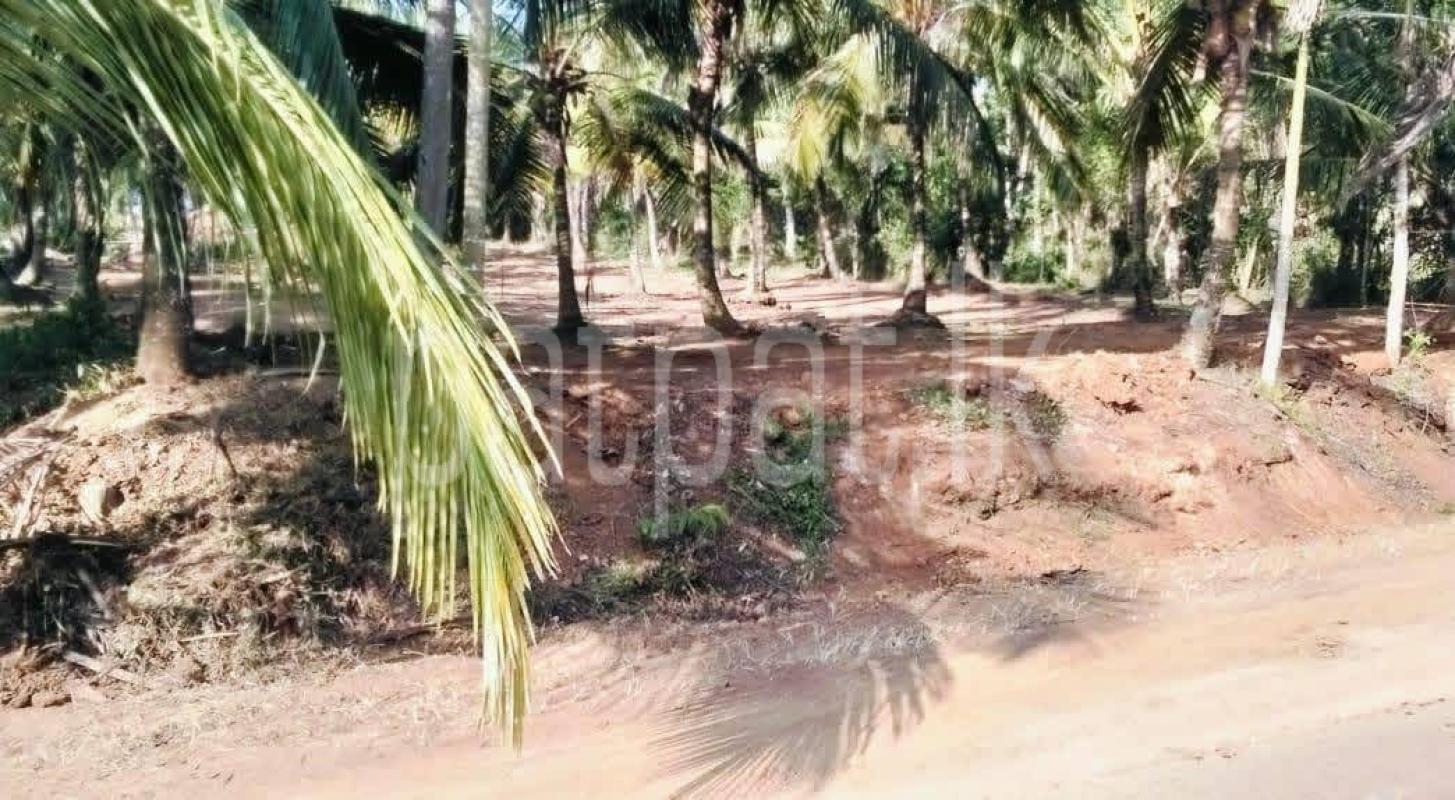 Agricultural Land for Sale in Weeraketiya