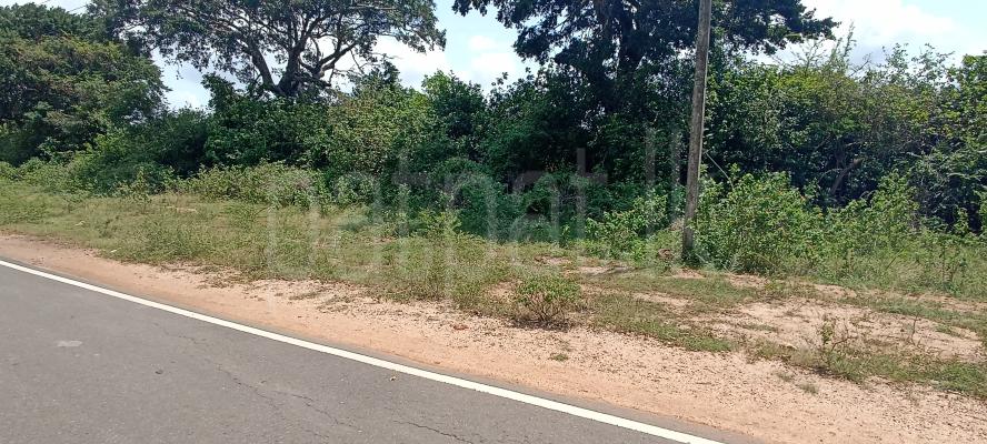 Commercial Land for Sale in Puttalam