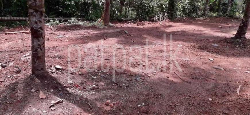 premium-listing-image