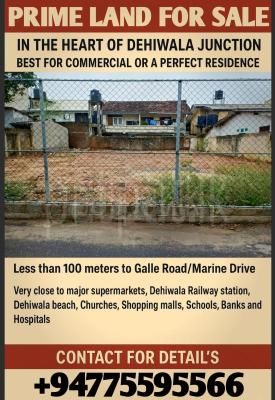 premium-listing-image