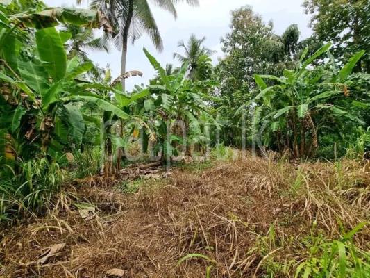 premium-listing-image